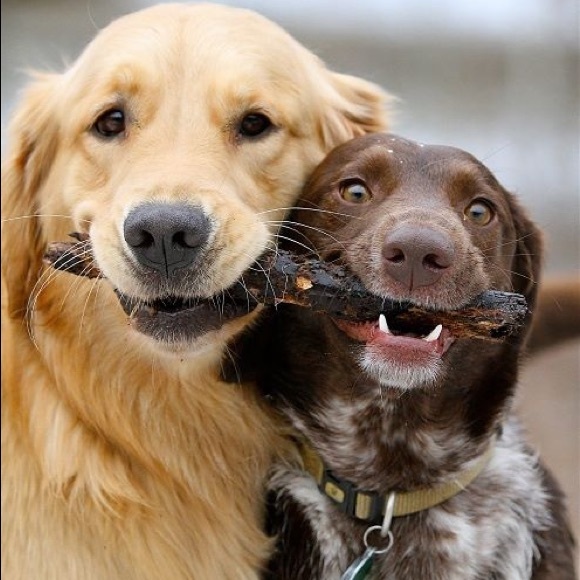 SHARE!  SHARE!  SHARE! - Picture 4 of 7